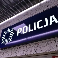 Gdzie i jak sprawdzić swoje mandaty – uniknij problemów i konsekwencji