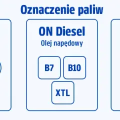 Diesel, ropa, benzyna: Czym się różnią i jak nie pomylić na stacji?
