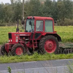 Czerwony ciągnik MTZ Belarus 82 z kabiną pracuje na polu, za nim widać pług.