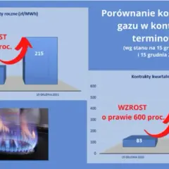 Gaz ziemny czy LPG? Porównanie kosztów i korzyści z PGNiG
