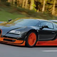 Bugatti Veyron ile koni: Zaskakujące fakty o mocy tego auta