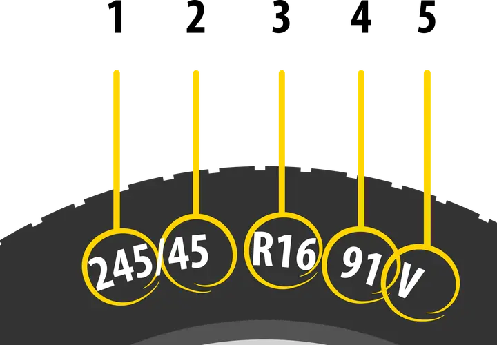 Grafika przedstawia fragment opony z naniesionymi na żółtych kółkach oznaczeniami rozmiaru: 245/45 R16 91V.