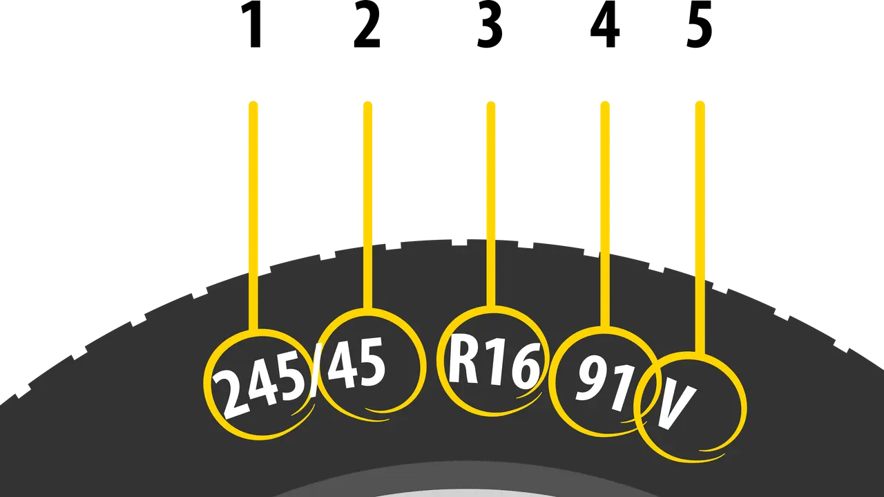 Grafika przedstawia fragment opony z naniesionymi na żółtych kółkach oznaczeniami rozmiaru: 245/45 R16 91V.