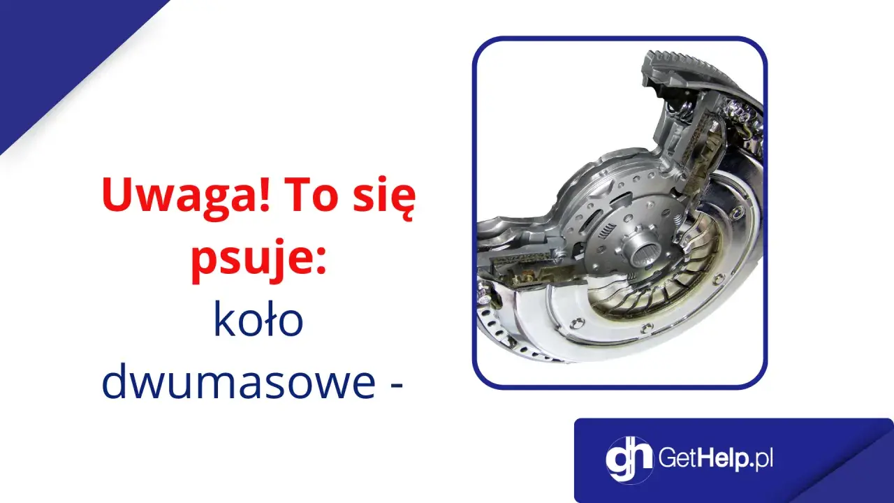 Koło dwumasowe w silnikach benzynowych może ulec awarii. Zobacz przekrój elementu.