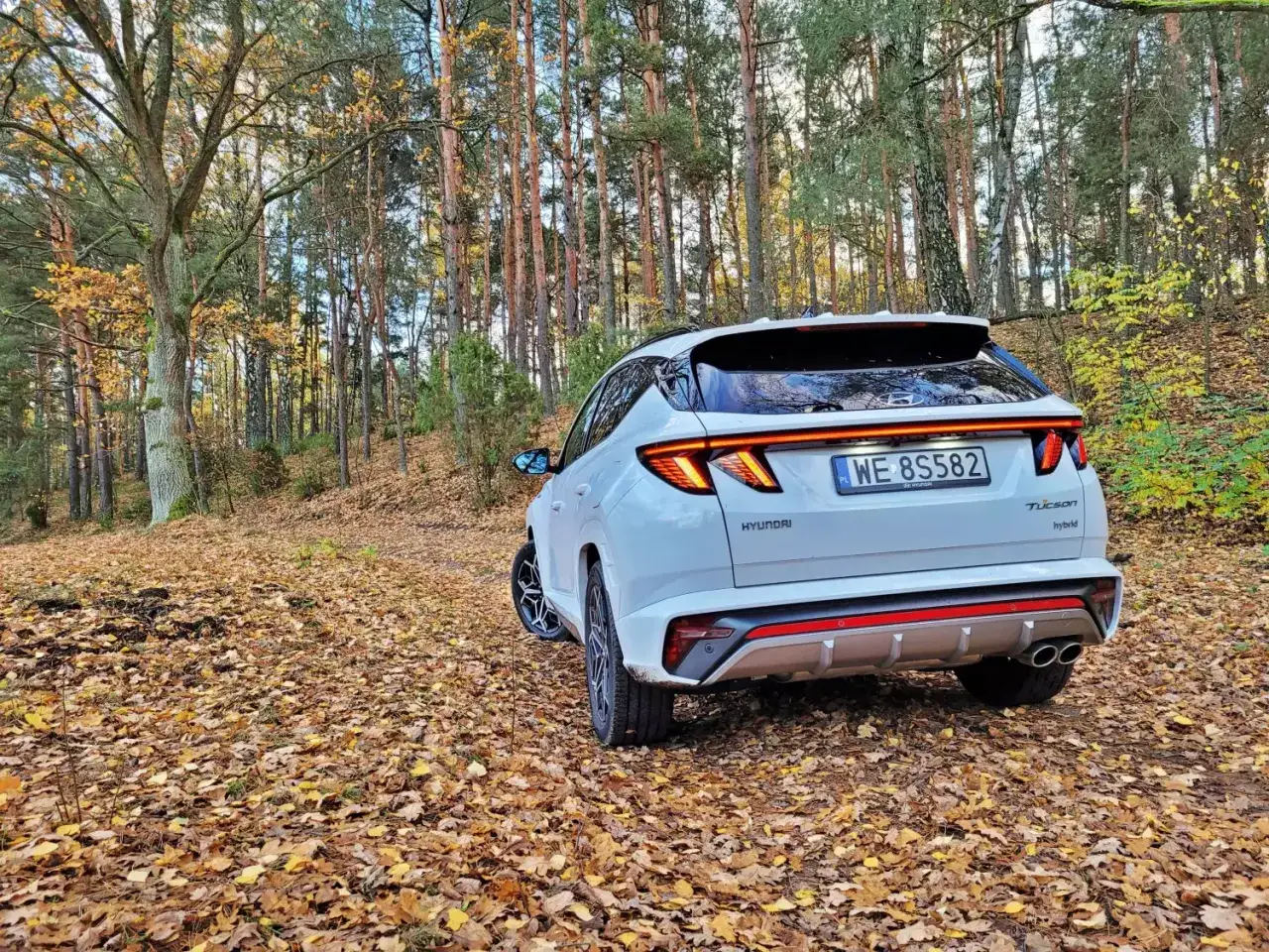 Biały Hyundai Tucson Hybrid na tle jesiennego lasu. Zastanawiasz się, ile pali ten model?